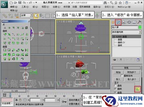仙人掌的3DMAX NURBS建模教程
