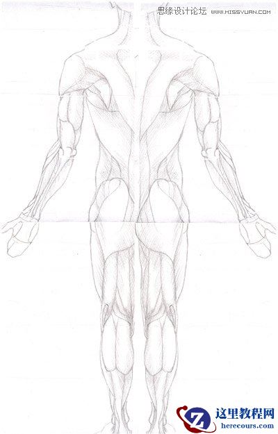 3ds max解析人体建模实例教程