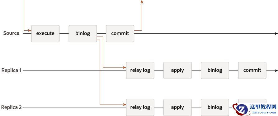 A transaction received by the source is executed, written to the binary log, then committed, and a response is sent to the client application. The record from the binary log is sent to the relay logs on Replica 1 and Replica 2 before the commit takes place on the source. On each of the replicas, the transaction is applied, written to the replica's binary log, and committed. The commit on the source and the commits on the replicas are all independent and asynchronous.