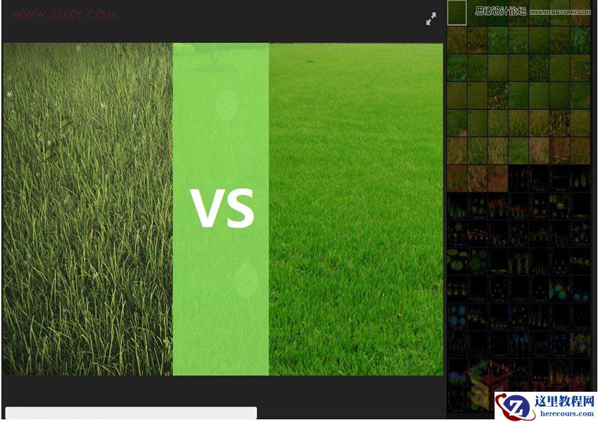 3DMAX详细解析真实草地效果图制作教程