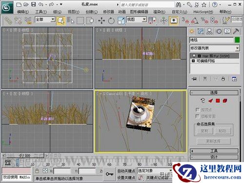3ds Max教程：解析材质中的毛皮质感