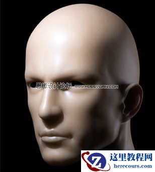 3ds Max的mental ray皮肤3S的经典教程