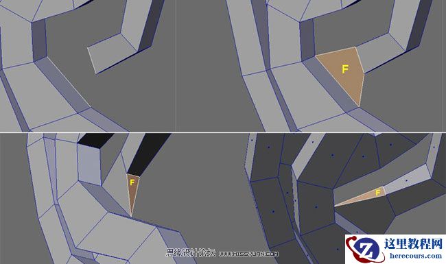 3Dmax建模教程：简单制作逼真耳朵模型