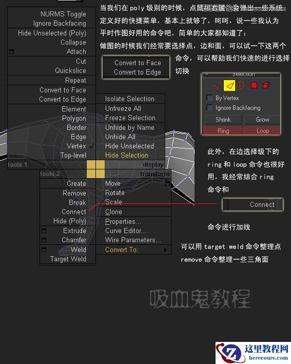 3ds MAX实例教程：多边形建模小狗