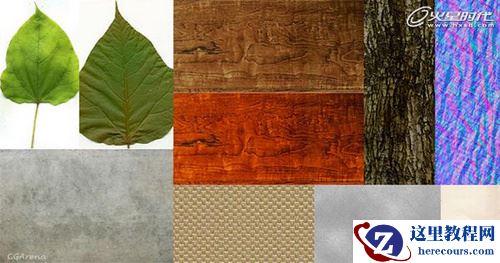 3D MAX教程：树屋室内效果图制作流程解析