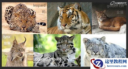 3DMAX教程:《王魂》创作设计理念剖析