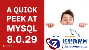 MySQL8.0.29300x169.png