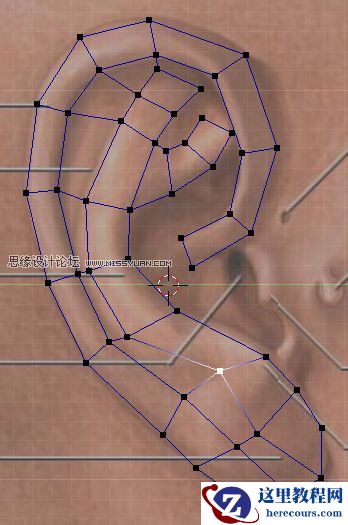 3Dmax建模教程：简单制作逼真耳朵模型