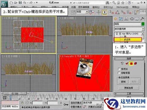 3ds Max教程：解析材质中的毛皮质感