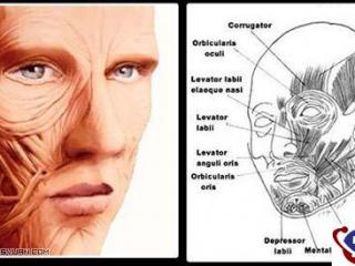 Word2003基础教程：查找打印机