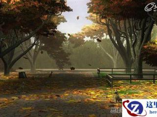 如何在Word中播放Flash和其他视频