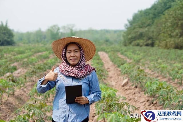 平板<u>电脑</u>远程查看农田情况