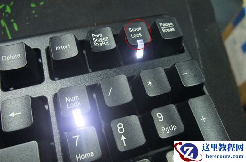 scroll lock键在哪