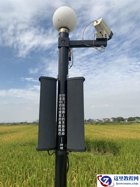 粧稼地里面监控点