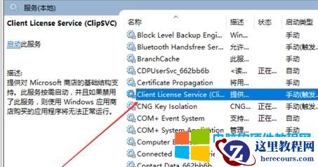 3、在服务列表下找到“Corel License Service”