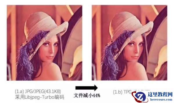 tpg是什么意思 tpg是什么格式2