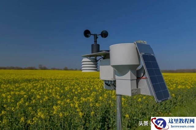 油菜田边监控点