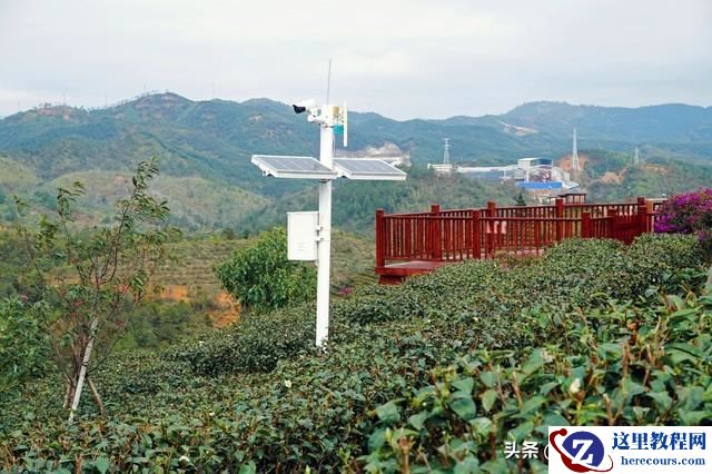 茶林边监控点