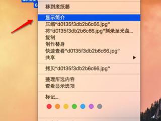 在Word文档打印预览中进行编辑