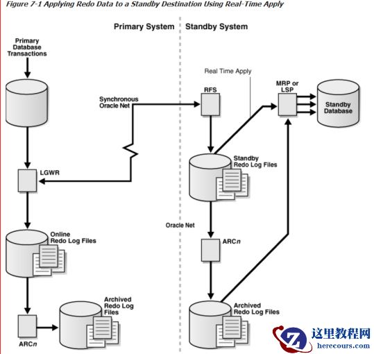 oracle ADG与DG的区别