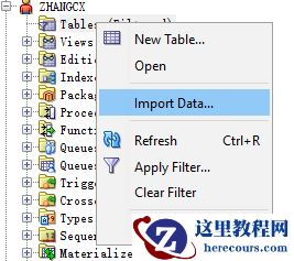 使用Oracle SQL Developer导入Excel数据