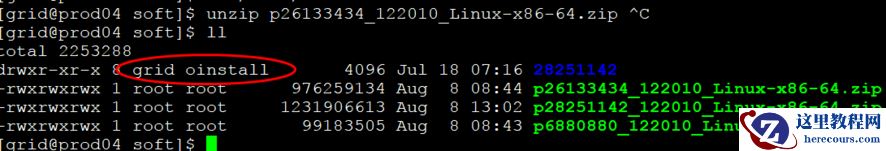 12.2 Grid RUR 安装