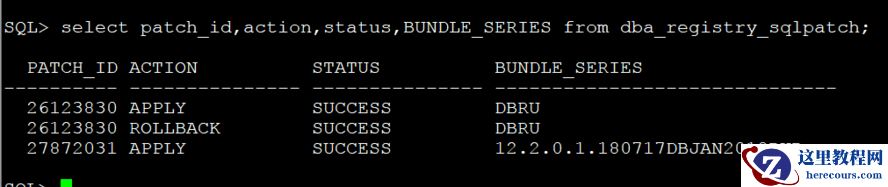 12.2.0.1 Grid RUR 安装