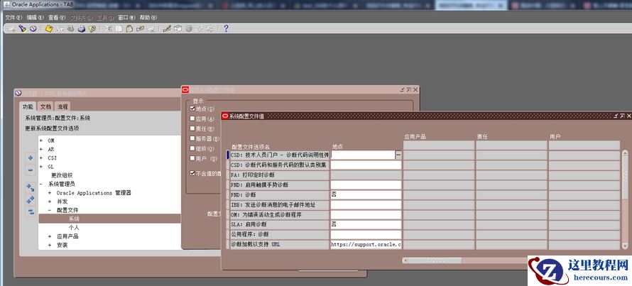 EBS 启用帮助-诊断