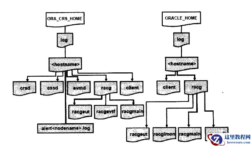 ORACLE RAC clusterware