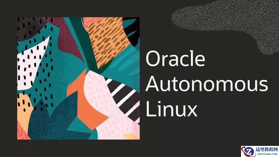 Oracle推出全球首个自治操作系统