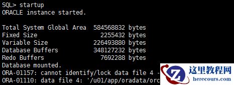 RMAN的使用（八）