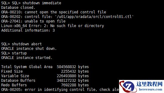 RMAN的使用（七）