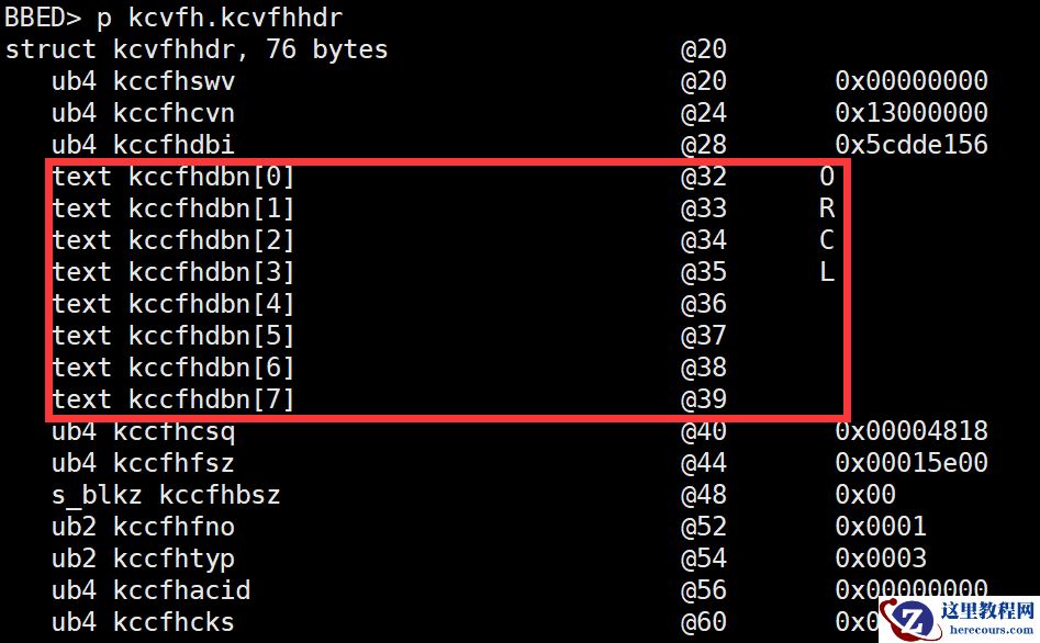 Oracle 数据库的众多 “NAME”
