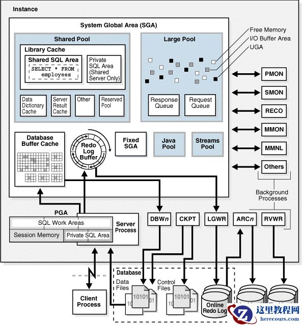 Oracle 20C 多租户_1.2 数据库与实例介绍