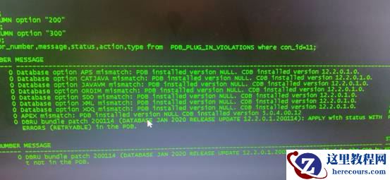 12cRAC打补丁后PDB进入受限模式