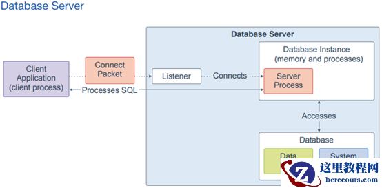 Oracle 19c数据库体系结构-1