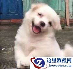 有个性高冷霸气的句子，很拽很叼很冷的句子