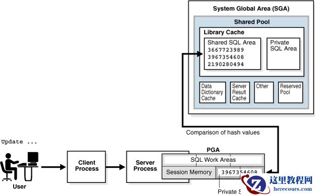 【SQL】Oracle SQL共享池检查
