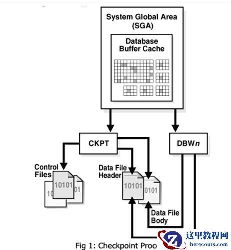 关于log file switch and checkpoint机制