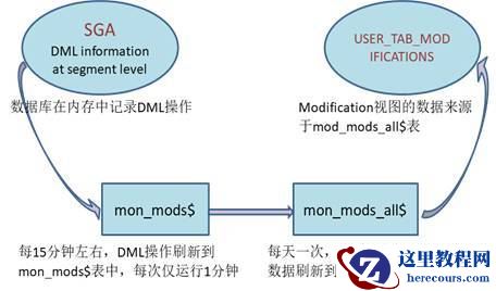 Oracle：TABLE MONITORING