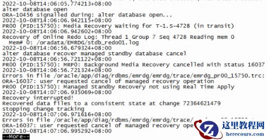 记一次DG修复后无法打开小乌龙