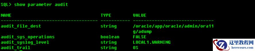 Oracle 标准审计，设置AUDIT_SYSLOG _LEVEL参数