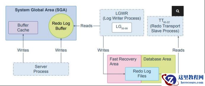 Oracle的LGWR WORKER