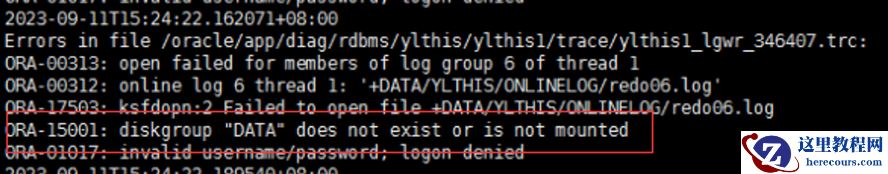 19c补丁后oracle属主变化，导致不能识别磁盘组