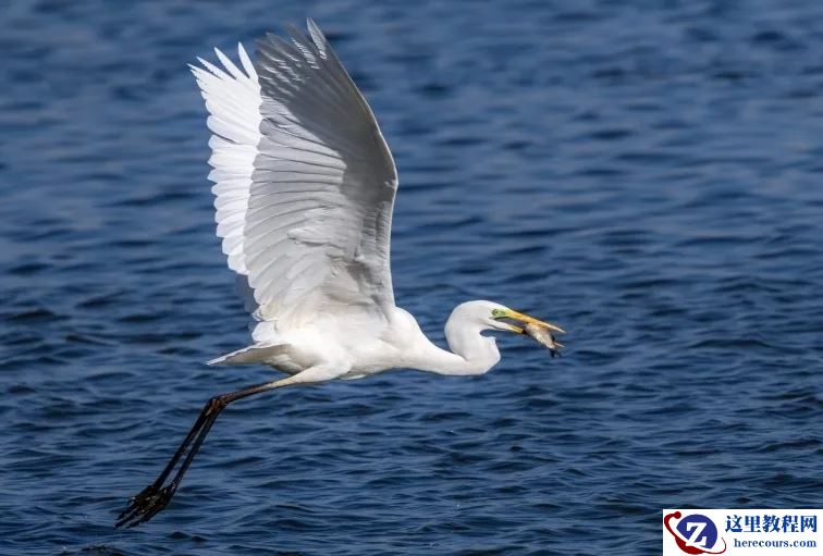 Oralce数据库巡检SQL脚本