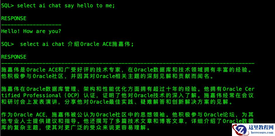 Oracle 如何实现AI自然语言查询