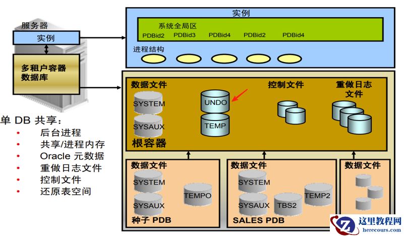 19c多租户架构下的UNDO管理-19c多租户架构下的UNDO管理- Local Undo