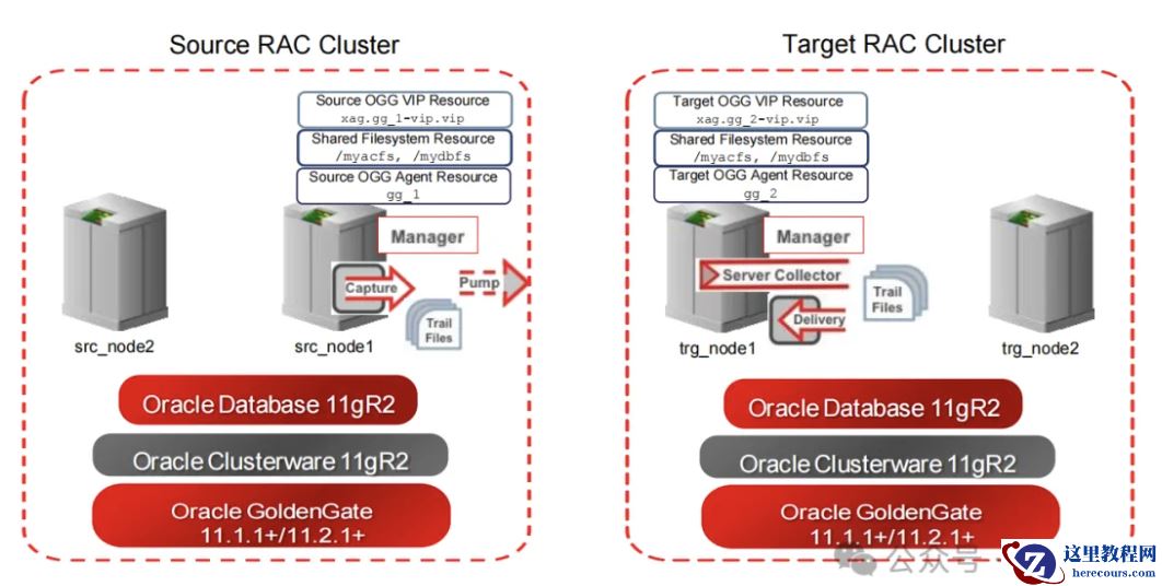 OGG双活集群，年故障时间=0分钟！