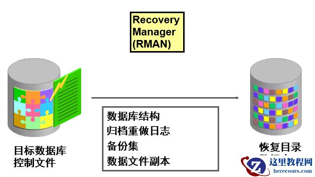 19c中创建rman catalog