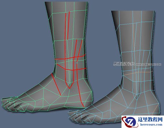 Maya建模教程：逼真脚部建模教程